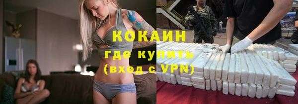 стаф Аркадак