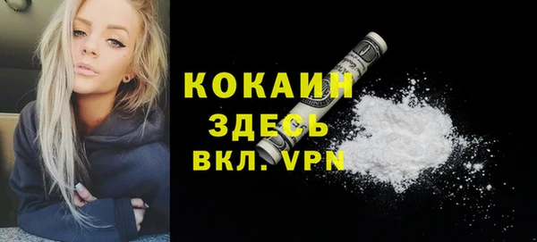спайс Арсеньев