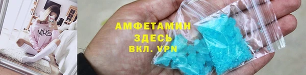 стаф Аркадак
