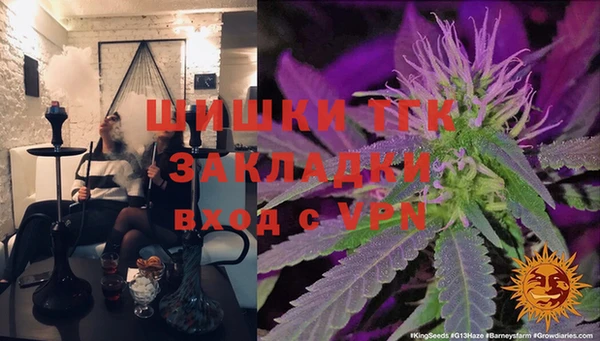 стаф Аркадак