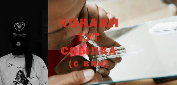 спайс Арсеньев