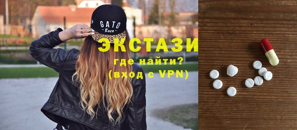 стаф Аркадак